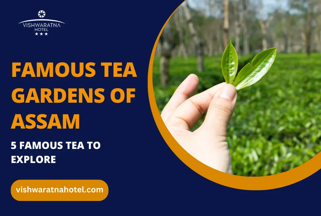 famous tea gardens of Assam