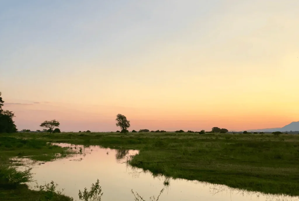 Manas National Park